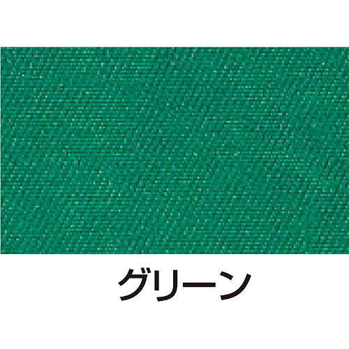 ARTEC 【10個セット】 シルクスクリーン用透明インキ 100ccグリーン(ATC20986X10) 取り寄せ商品