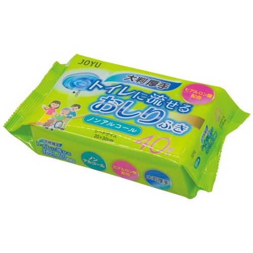 Potty, Diaperings - 常裕パルプ工業 大判厚手 トイレに流せるおしりふき 1パック(40枚)(377387) 目安在庫=○