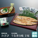 わさび漬け/根わさび/浜名湖産うなぎ白焼き2尾セット【送料無