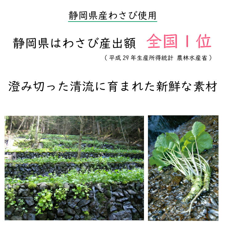 刻みおろしわさび 100g【わさび 山葵 ワサビ 調味料 薬味 生 おろしわさび おろし山葵 おろしワサビ 刻み 刻みわさび 刻み山葵 刻みワサビ 粗 粗おろし 茎 なのや お取り寄せ おうち グルメ 国産 国内産 静岡 静岡土産】 2