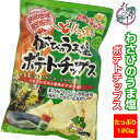 わさびの旨塩ポテトチップス 120g【菓子 ご当地 ポテチ わさび お土産 塩 静岡 限定 ポテト 山葵 ワサビ 旨塩】