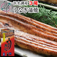 うなぎ 蒲焼 140g×3尾入り 箱入り【3～4人分 浜名湖産 送料無料 国産 お歳暮 ギフ...