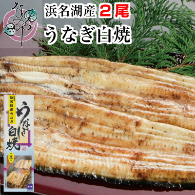 うなぎ 白焼 140g×2尾入り 2〜3人分 浜名湖産 送料無料 国産 父の日ギフト 父の日 ギフト 食べ物 お祝い 内祝 浜名湖 土用の丑の日 お取り寄せ グルメ プレゼント 鰻 ウナギ 白焼き 贈...