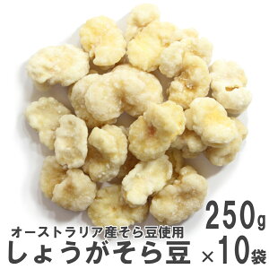 しょうがそら豆250g×10 南風堂 ケース販売 オーストラリア産そら豆の生姜砂糖がけ豆菓子