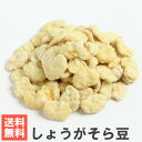 南風堂 しょうがそら豆メール便発送 オーストラリア産揚げそら豆の生姜砂糖りんかけ豆菓子