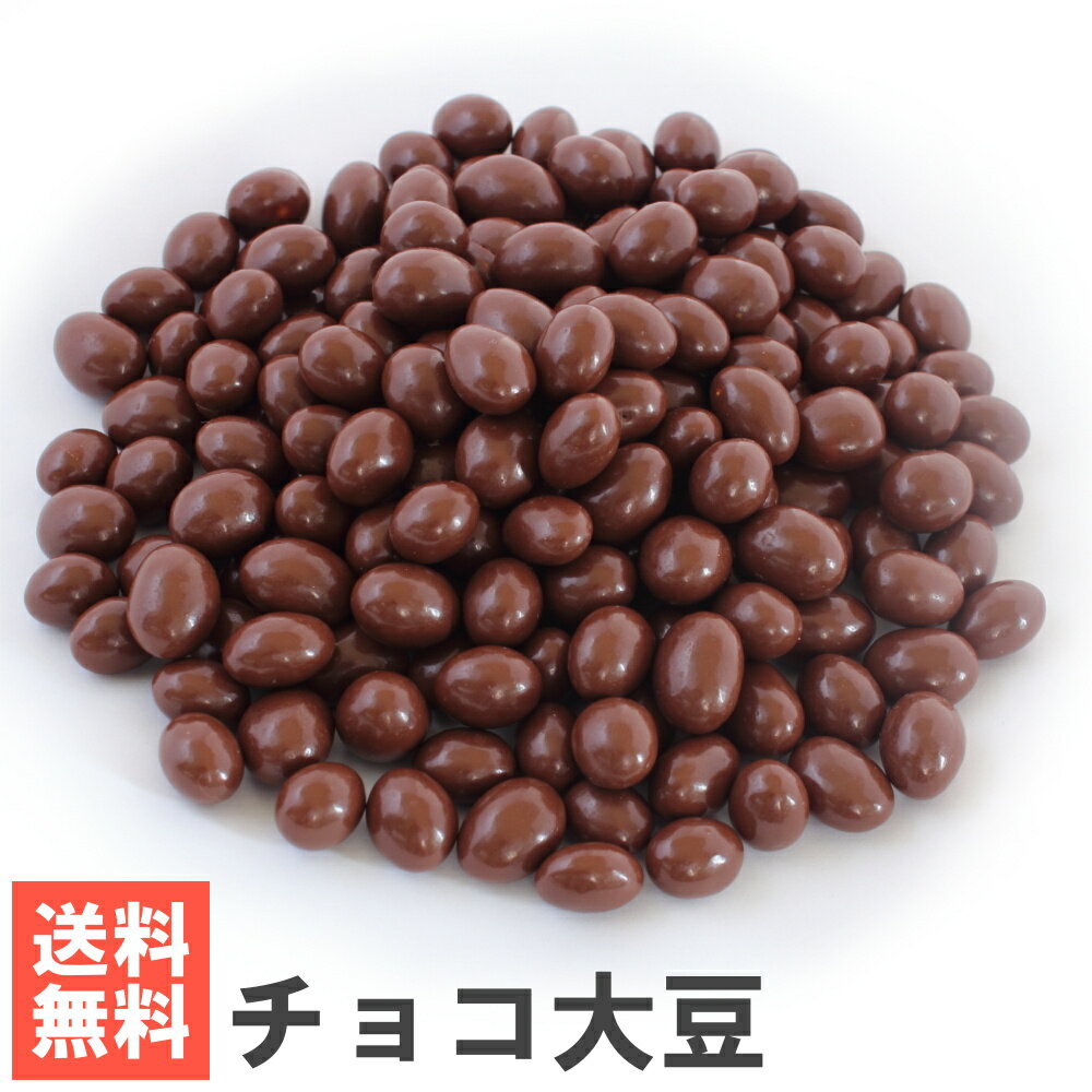 南風堂 チョコ大豆 南風堂 九州産大豆のチョコボール 自社焙煎 自社加工 送料無料