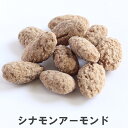 【お買い物マラソンポイント5倍+エントリーでポイントバック(7/20 0:00〜23:59)】南風堂 シナモンアーモンド アーモンドのシナモン黒糖がけ 上品な香...