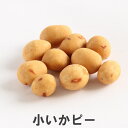 【ポイント5倍ワンダフルデー】南風堂 小いかピー イカ風味の小さな豆菓子