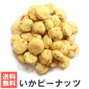 いかピーナッツ いかピー 南風堂 落花生豆菓子 メール便発送