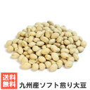 【エントリーでポイント10倍】南風堂 国産ソフト煎り大豆 送料無料おためしメール便 九州産大豆をカリッとロースト 大豆の栄養そのままおやつ