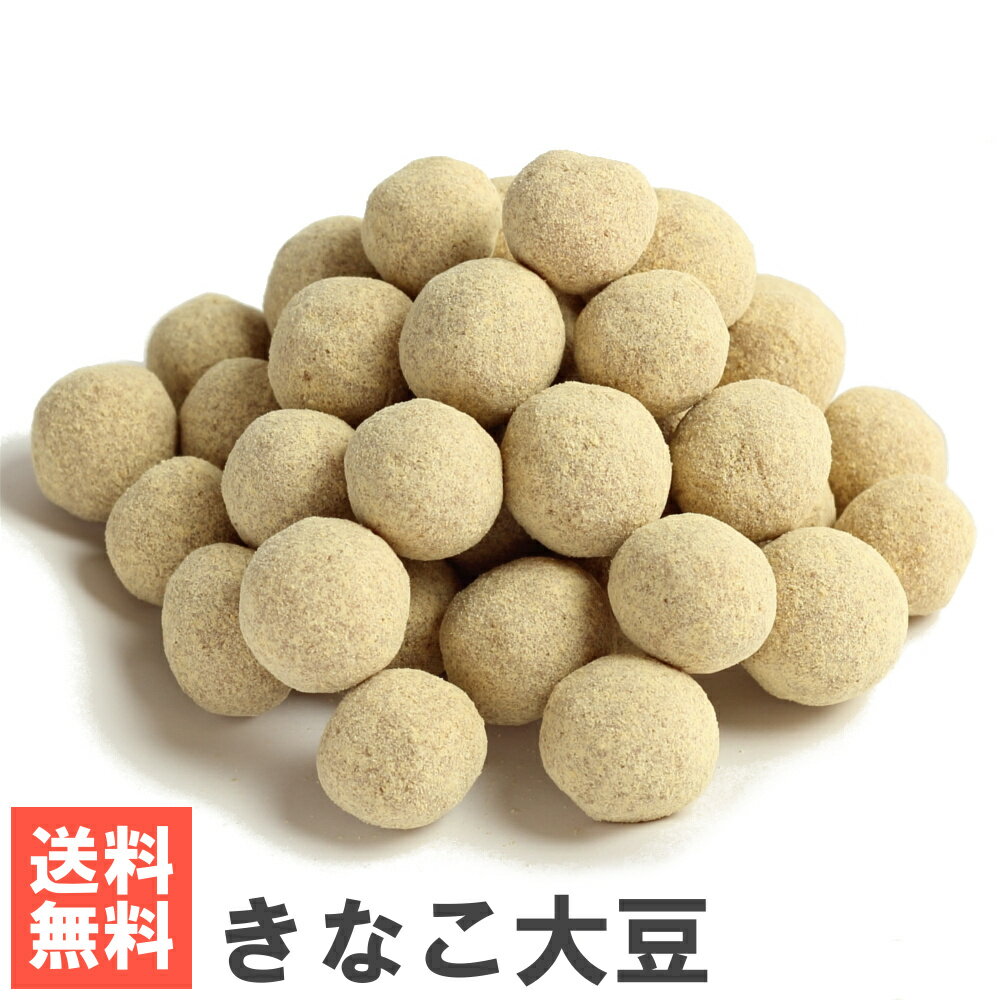 南風堂 きなこ大豆 送料無料メール便発送 きな粉たっぷりの大豆豆菓子 九州産大豆・きなこ・小麦粉使用 おやつ お茶請に