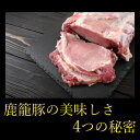 ソーセージ 190g 4パック 明治屋 鹿籠豚 送料無料 惣菜 豚肉 肉加工品 国産 鹿児島 黒豚 ウインナー ウィンナー 3
