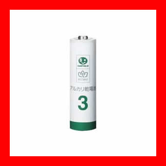 （まとめ）パナソニック アルカリ乾電池EVOLTAネオ 単2形 LR14NJ/2SE 1パック(2本)【×10セット】