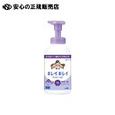《 ライオン 》 キレイキレイ泡ハンドソープ550mL Fソープ(4)