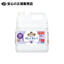 《 ライオン 》 キレイキレイ泡ハンドソープ4L Fソープ(4)