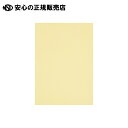 《 スマートバリュー 》 カラーペーパー特厚B4 CREAM1500枚 A283J-2(2)