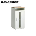《 テラモト 》 FT防災キャビネット OT-961-520-7 OWH(3)