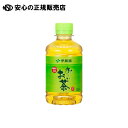 ※お~いお茶 緑茶PET 280mL×24本2箱 《 伊藤園 》