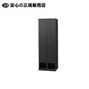 RLKロッカー RLK-TKD260-BMB 2人用 ブラック 《 IVY 》