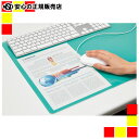 《セントラル》 スカイマット PC再生クリアー PRC-107W(3)