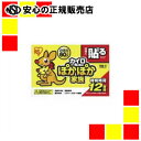 《アイリスオーヤマ》 ぽかぽか家族貼るレギュラー60個入PKN-60HR(4)