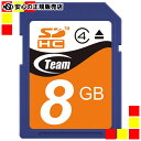 sTEAMt SDHCJ[h 8GB TG008G0SD24X