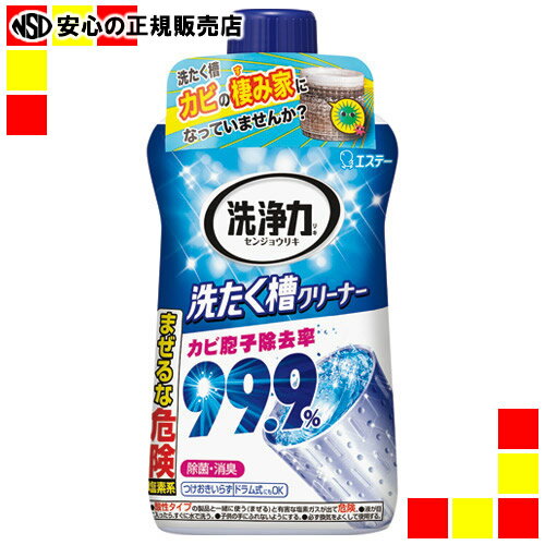 《エステー》 洗浄力 洗たく槽クリーナー 550g