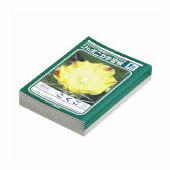 ショウワノート 国語 JL-10 15マス 10冊