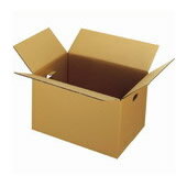 ジョインテックス 穴付ダンボール箱 大60枚 B176J-L-6