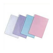 LIHITLAB クリヤーポケット N-2007 B4S 10枚 グレー