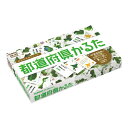 《学研ステイフル》 都道府県かるた Q750288