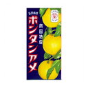 《セイカ食品》 ボンタンアメ 10箱