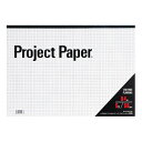 《オキナ》 プロジェクトペーパー PPB45S B4 方眼 5冊