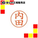 シヤチハタ ネーム9既製 XL-9 0387 内田