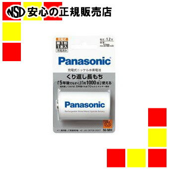 Panasonic jbPfdrP1BK-1MGC/1