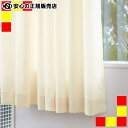 アスワン 無地カーテン タイニー AH-1049-61【smtb-f】(3)