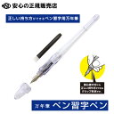 【送料無料♪】PILOT 万年筆 ペン習字ペン ノンカラー P-FP-60R-NC-EF ☆正しい握りのできる、エルゴノミクス(人間工学的)グリップを採用!