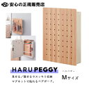 《キングジム（KING JIM）》マグネットで貼れるペグボート HARU PEGGY(ハルペギー)　PGH200 ナチュラル Mサイズ☆キッチンや玄関の小物収納に最適！☆オプション品でカスタマイズもできます♪