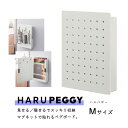 《キングジム（KING JIM）》マグネットで貼れるペグボート HARU PEGGY(ハルペギー)　PGH200　ホワイト(シロ）Mサイズ☆キッチンや玄関の小物収納に最適！☆オプション品でカスタマイズもできます♪