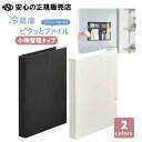 《 KINGJIM ( キングジム ) 》スキットマン 冷蔵庫ピタッとファイル(小物整理タイプ) 2941 各色 ☆ 輪ゴムやレシートなどを、サイズの異なる3種...