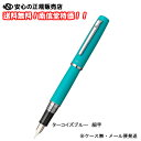 【送料無料♪】プラチナ万年筆(PLATINUM) PROCYON(プロシオン) PNS-5000 #52-2 ターコイズブルー 細字 (ケース無し メール便発送)