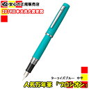 【キャッシュレス5%還元】■2019日本文具大賞受賞■プラチ...