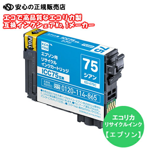  ꥫ (ecorica)  ECI-E75C ꥵ륤  (֡ICC75 EPSON(ץ))ꥵ륤󥯥ȥå