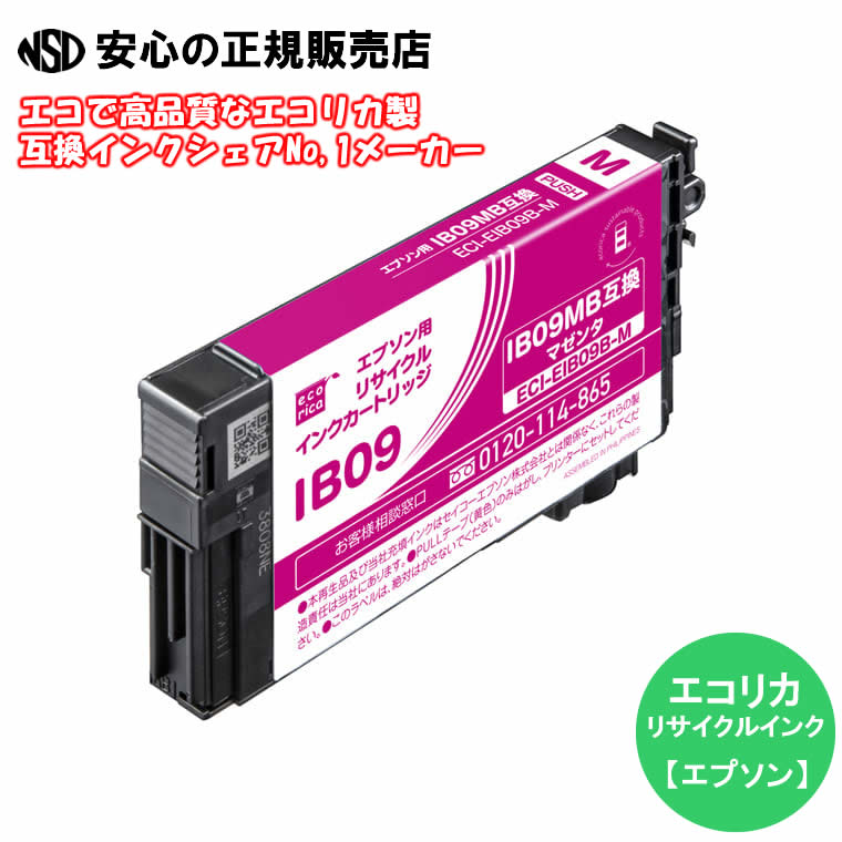  ꥫ (ecorica)  ECI-EIB09B-M ꥵ륤 ޥ (֡IB09MB EPSON(ץ)) ꥵ륤󥯥ȥå ꥫ