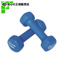 ≪ トーエイライト ≫ ラバーコートダンベルH7306B 1.5kg (H9056)