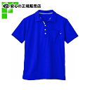 ≪ 自重堂 ≫ 男女兼用ポロシャツWH90718 ブルー L (WH90718)(4)