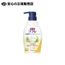 薬用ソフレ乾燥肌ケアボディソープ 《 バスクリン 》