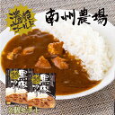 【かごしま黒豚使用】鹿児島 黒 豚 濃艶 カレー （レトルト） 2個セット お土産 手土産 お取り寄せ ご当地カレー 南州農場 常温保存 非常食 一人暮らし 単身赴任 買い置き お得 ネコポス対応 常温発送 御礼