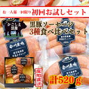 ソーセージ 【初回限定 】国産 鹿児島 南州農場 黒豚 ハム ソーセージ 食べ比べ セット お試し お得 内祝い お肉 お返し 人気 お中元 ギフト 国産豚 くろぶた お得なセット 贈り物 安心 安全 ウィンナー お取り寄せ グルメ つまみ おつまみセット BBQ キャンプ 低添加