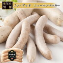【かごしま黒豚 使用】お取り寄せ 南州農場 鹿児島 黒豚 ノン・アッド ニュールンベルガー 100g ソーセージ 国産 豚 添加物不使用 化学調味不使用 朝食 弁当 キャンプ アウトドア バーベキュー